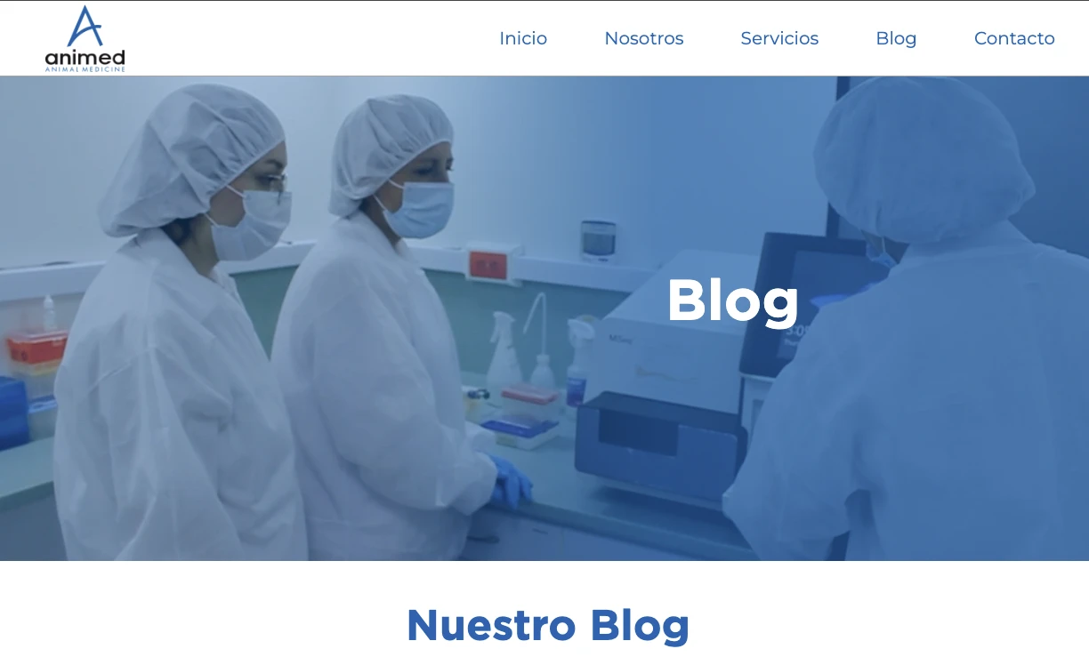 Miniatura de blog